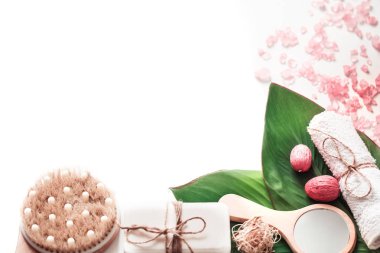 tropikal yaprak, vücut bakımı ve gevşeme kavramı, metin için yer ile beyaz arka plan üzerinde organik spa ürünleri