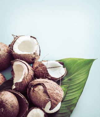 Taze Hindistan cevizi tropikal yapraklar mavi arka plan ile yarıya indirir. Düz