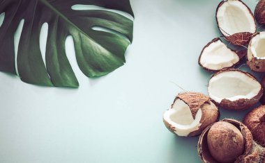 Taze Hindistan cevizi tropikal yapraklar mavi arka plan ile yarıya indirir. Düz