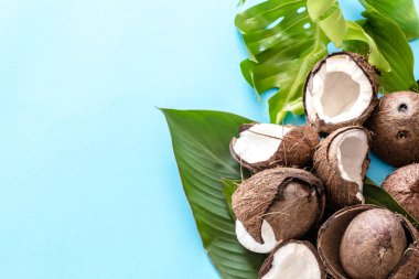 Taze Hindistan cevizi tropikal yapraklar mavi arka plan ile yarıya indirir. Düz