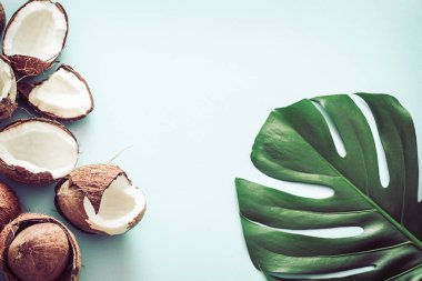 Taze Hindistan cevizi tropikal yapraklar mavi arka plan ile yarıya indirir. Düz