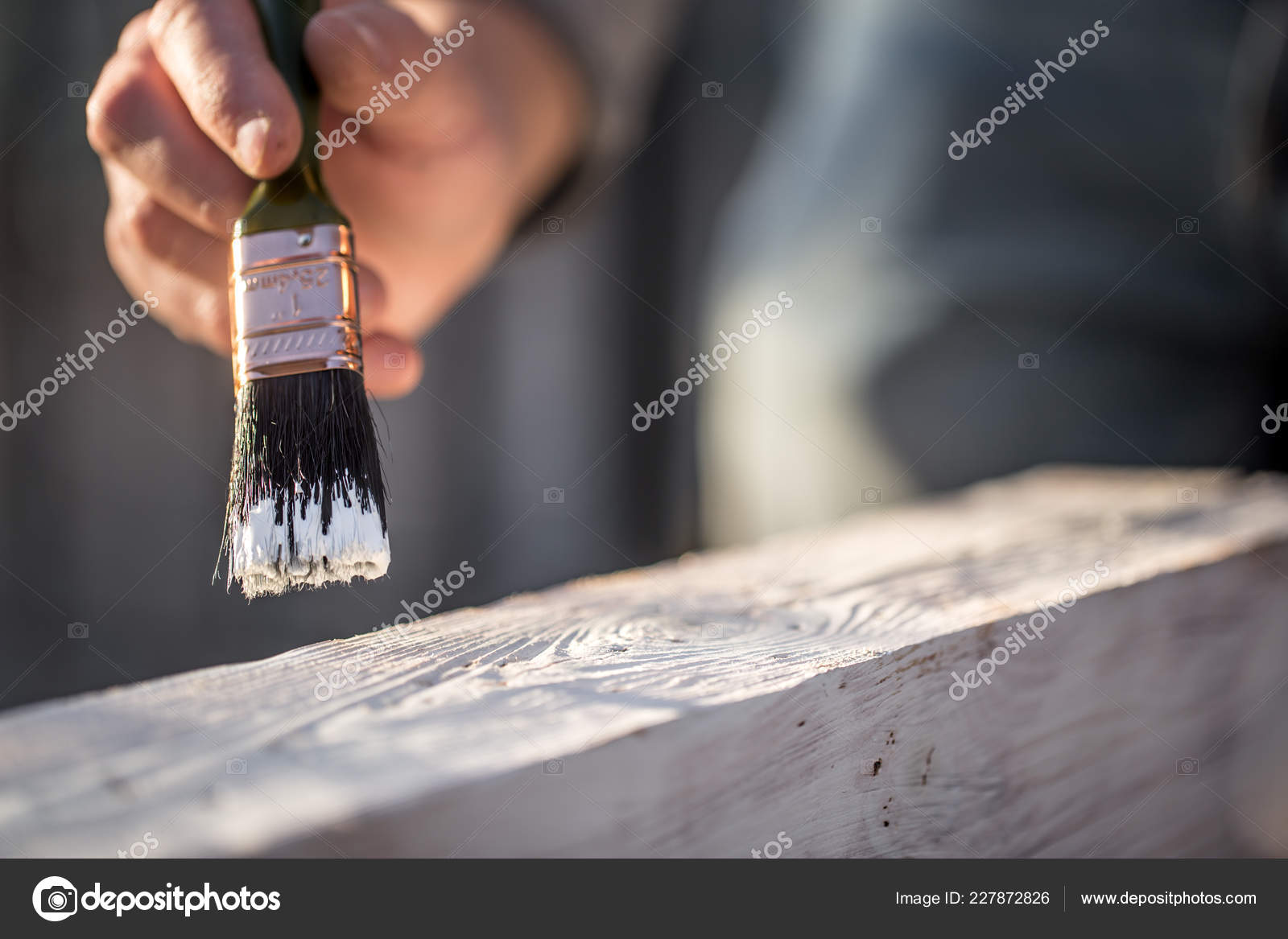 Many brushes for painting on a white background, top view. Stock Photo by  puhimec