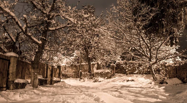 Schnee Schöne Winternacht Auf Dem Land Straßenansicht Mit Schnee Auf — Stockfoto
