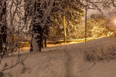 patika kırsal, güzel kış kavramı karlı gece ormanda