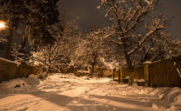 Schnee Schöne Winternacht Auf Dem Land Straßenansicht Mit Schnee Auf — Stockfoto