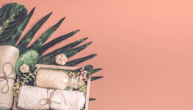 Spa kompozisyon vücut bakım ürünleri mezarda bir tropikal yaprak, Spa ve vücut bakım anlayışı ile renkli bir arka plan üzerinde çeşitli