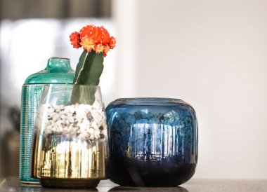 Renkli vazolar ve kaktüs Cafe iç. Doğu tarzı