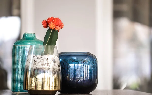 Színes vázák és a kávézó belső kaktusz. Keleti stílusú — Stock Fotó