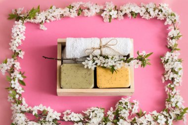 Bahar Spa izole pembe arka plan üzerinde yaşam