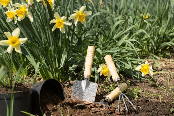 Plantera blommor i trädgården, trädgårdsredskap, blommor — Stockfoto
