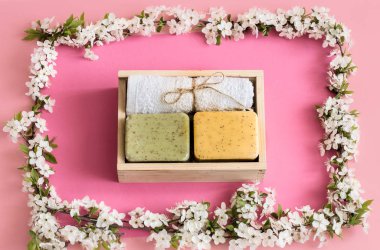 Bahar Spa izole pembe arka plan üzerinde yaşam