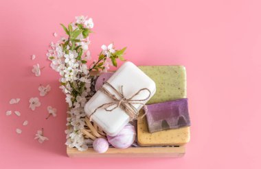 Bahar Spa izole pembe arka plan üzerinde yaşam