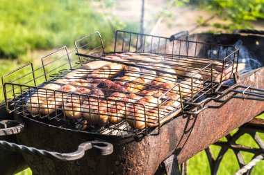 Arkadaşlar barbekü yapıyor ve doğada öğle yemeği yiyorlar..