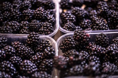 Hafta sonu çiftçi pazarında taze siyah çilek görüntüleme