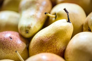 Makro Fotoğraf gıda meyve yeşil armut. Taze doku arka plan 