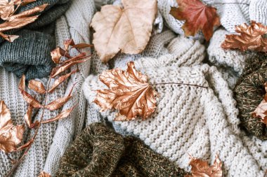 Yatakta natürmort sahnesinde rahat sonbahar sabah kahvaltısı. Buğulama fincanı sıcak kahve, pencerenin yanında duran çay. Sonbahar.