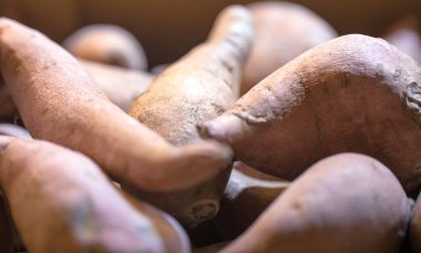 Makro Fotoğraf gıda sebze havuç. Taze büyük portakal havuç doku arka plan