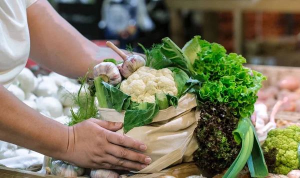 Kadın elleri taze olgun organik brokoli tutarak, gr ile salata — Stok fotoğraf