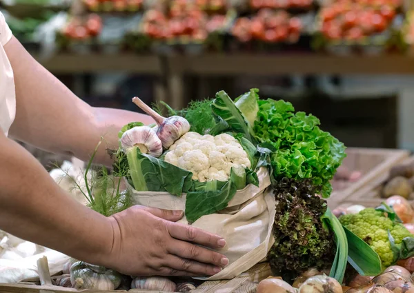 Kadın elleri taze olgun organik brokoli tutarak, gr ile salata — Stok fotoğraf
