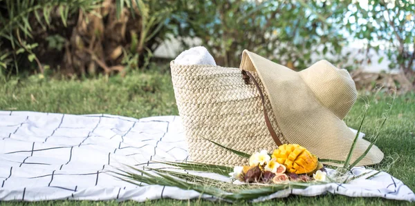 Letní piknik s talířkem tropických plodů. — Stock fotografie