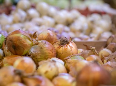 Hafta sonu çiftçi pazarında taze soğan gösterimi