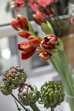 Bir çiçekçide enginar çiçekleri ve Amaryllis