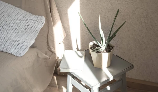 Silla de casa con una hermosa maceta y artículos decorativos —  Fotos de Stock