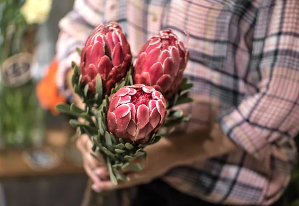 Red Proteus exotic flower in a flower shop