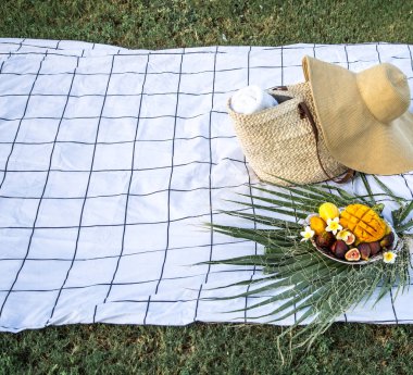 Tropikal meyve bir tabak ile yaz piknik.