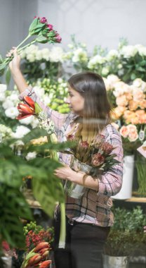 Ekose gömlekli genç bir kız seçer ve bir çiçekçi dükkanında çiçek bir kompozisyon oluşturur