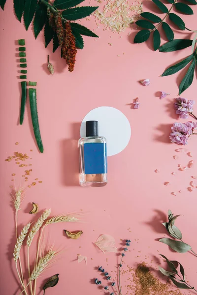 Parfémovou láhev v květinách na růžovém pozadí s bílým kroužkem. Jarní pozadí s aroma Parfume. Plochá ležela — Stock fotografie