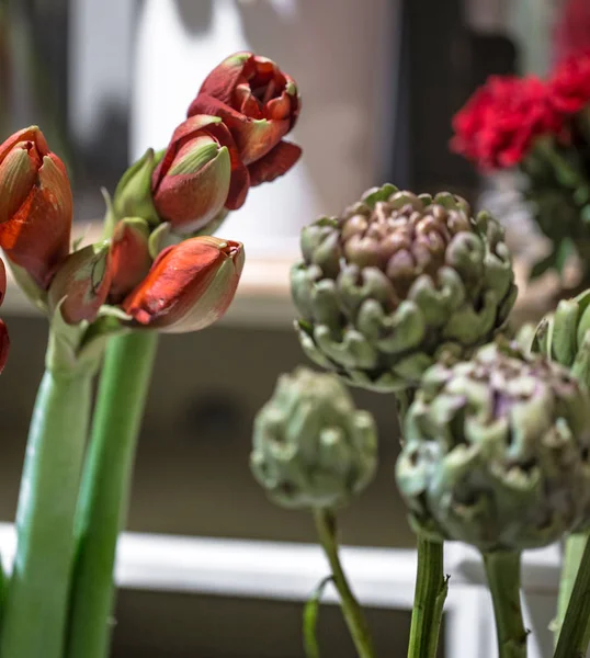 Bir çiçekçide enginar çiçekleri ve Amaryllis