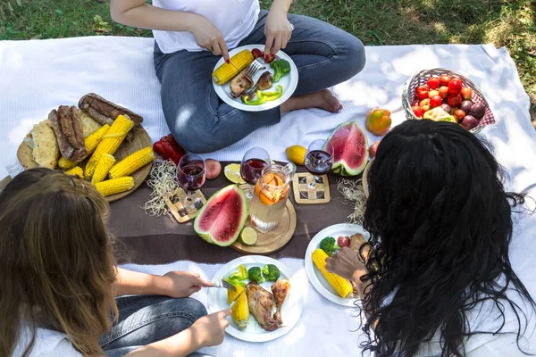 Summer picnic with friends in nature with food and drinks.