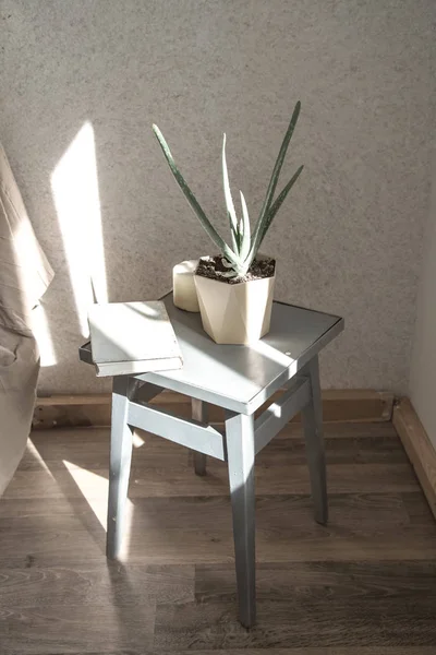 Καρέκλα σπίτι με μια όμορφη γλάστρα και διακοσμητικά αντικείμενα — Φωτογραφία Αρχείου