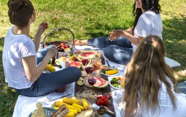 Yiyecek ve içecekler ile doğada arkadaşlar la yaz piknik.