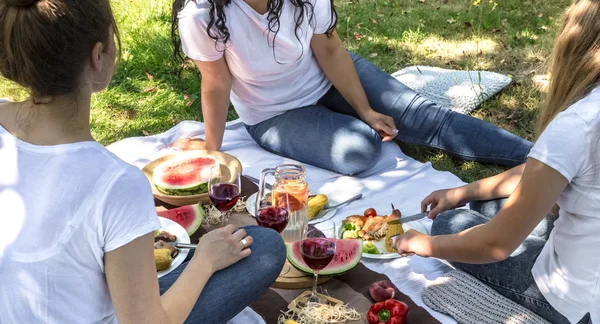 Summer picnic with friends in nature with food and drinks.
