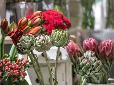 Egzotik çiçekler kırmızı Amaryllis, enginar ve Protea akan vardır