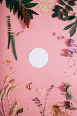 Yaratıcı düz boş kağıt sayfa nın üst görünümü pastel kadar mock yatıyordu