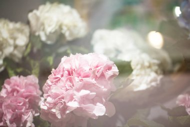 Güzel mavi ortanca, egzotik protea çiçek buketi. Benekli 