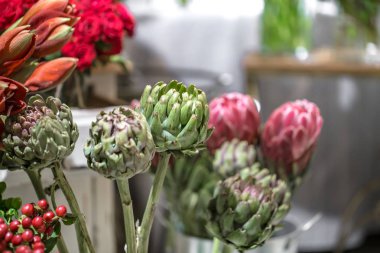 Egzotik çiçekler kırmızı Amaryllis, enginar ve Protea akan vardır