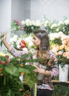 Ekose gömlekli genç bir kız seçer ve bir kompozisyon oluşturur 