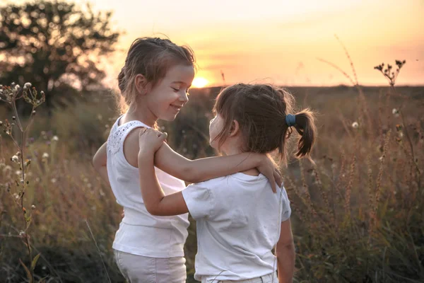 Zwei kleine Schwestern in einem Feld bei Sonnenuntergang. — Stockfoto