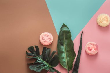 Renkli arka planda tropikal yapraklarla kaplıca hayatı.