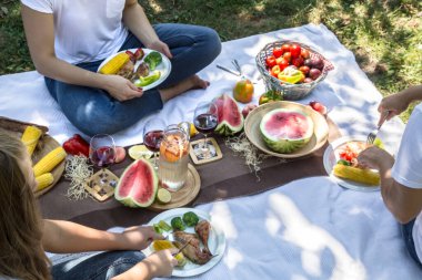 Yiyecek ve içecekler ile doğada arkadaşlar la yaz piknik.