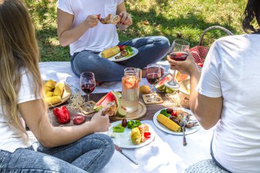 Yiyecek ve içecekler ile doğada arkadaşlar la yaz piknik.