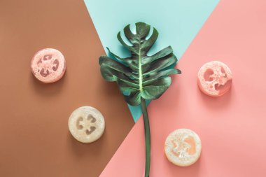 Renkli arka planda tropikal yapraklarla kaplıca hayatı.