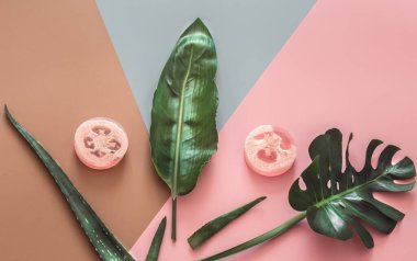 Renkli arka planda tropikal yapraklarla kaplıca hayatı.