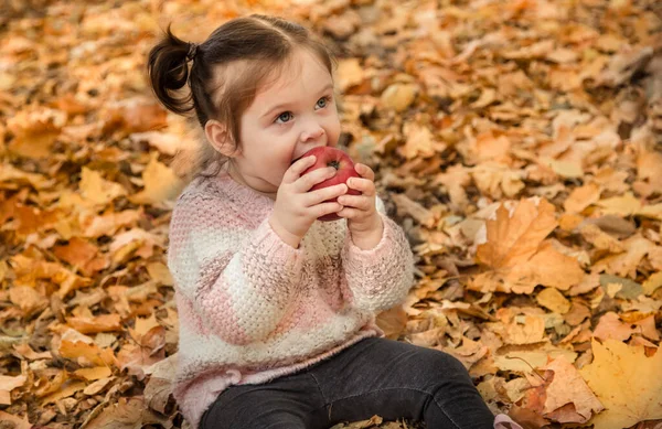 Retrato de uma menina na floresta de outono . — Fotografia de Stock