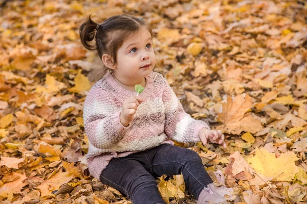 Retrato de uma menina na floresta de outono . — Fotografia de Stock