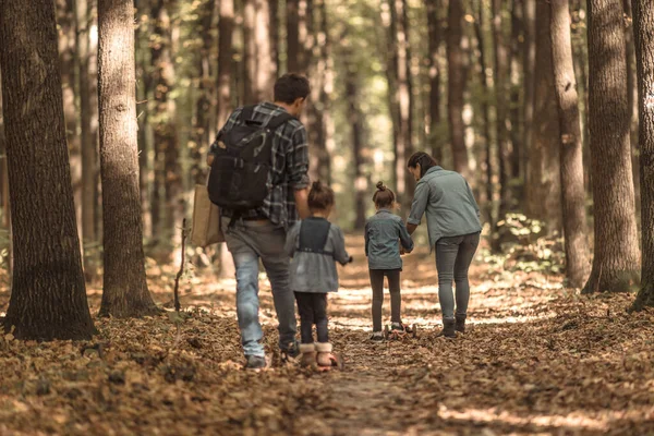 Una familia joven camina en el bosque de otoño con niños . — Foto de Stock